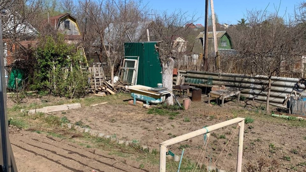 Не тратьте деньги на чистку туалета: эти 10 растений сделают всё сами — сажайте прямо сейчас