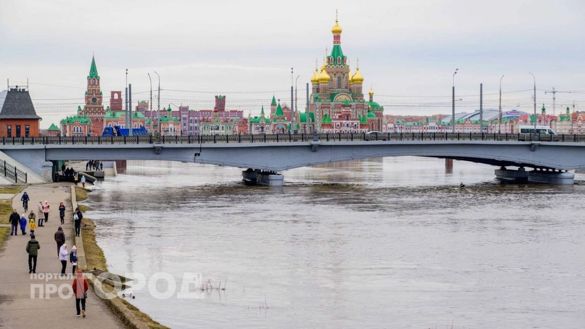 Пострадавшим от паводка жителям Марий Эл окажут материальную помощь