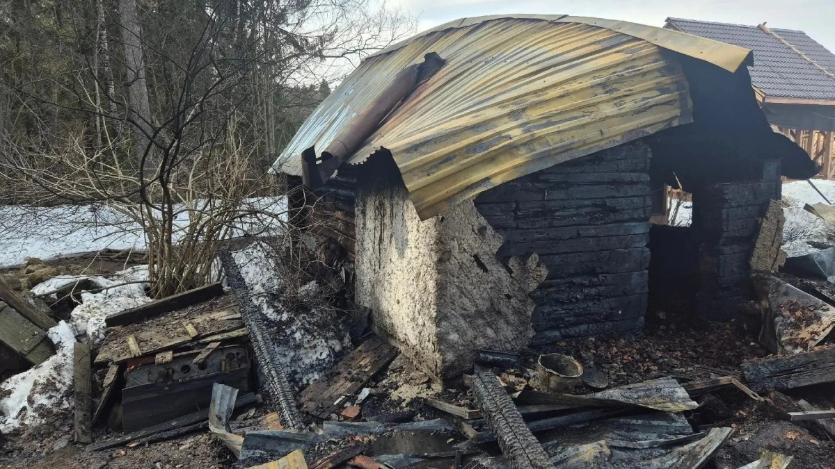 Тело мужчины нашли в сгоревшем доме в Медведевском районе