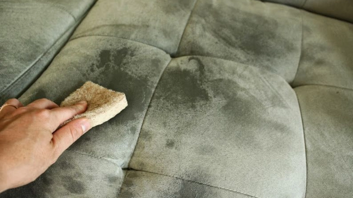 Диван засиял как после клининга: две капли на губку – вся мебель в доме как новая