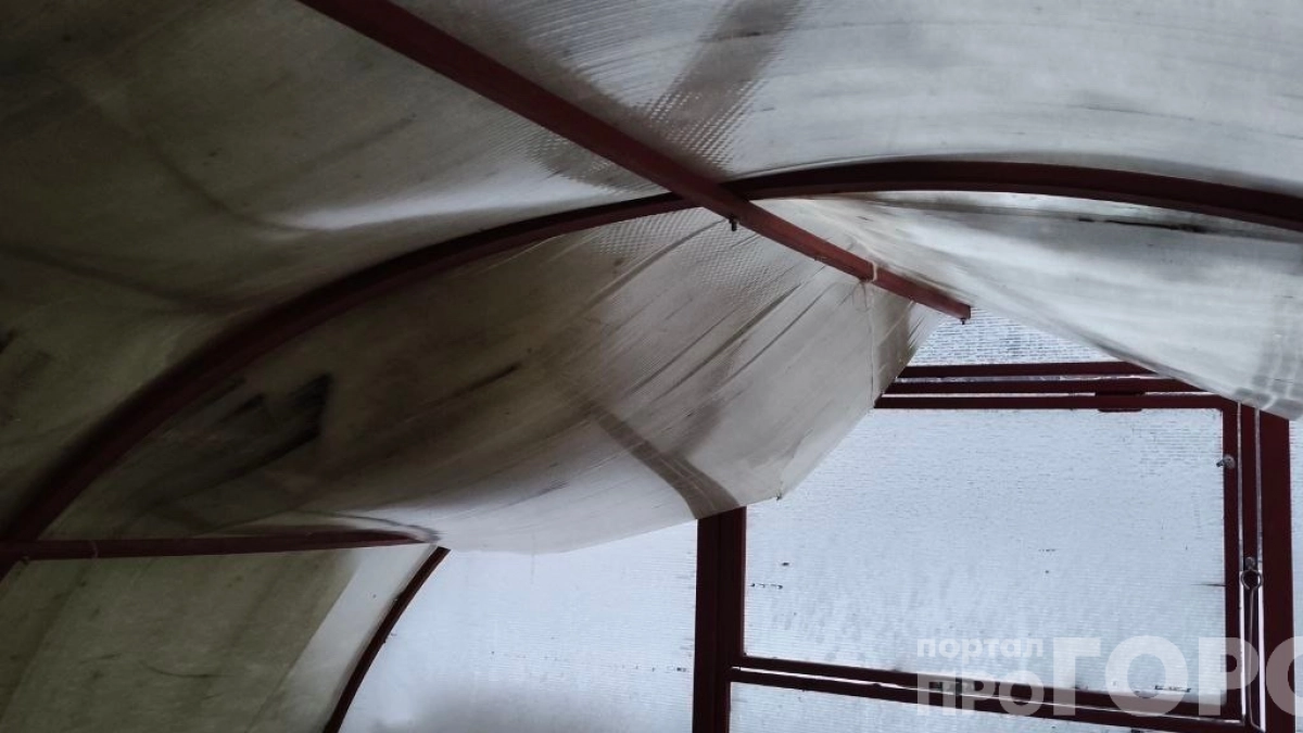 «Этот хлам менять каждые 3 года»: грязь, трещины и плесень — что не так с дешёвым поликарбонатом