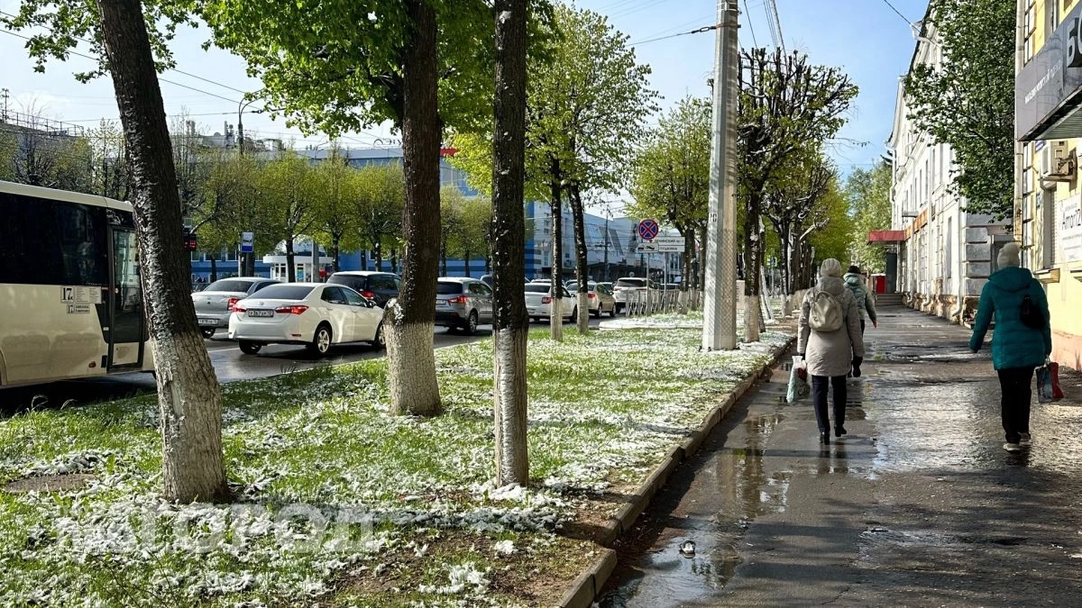 Заморозки до -2 и ветер: прогноз на ближайшие дни в Марий Эл