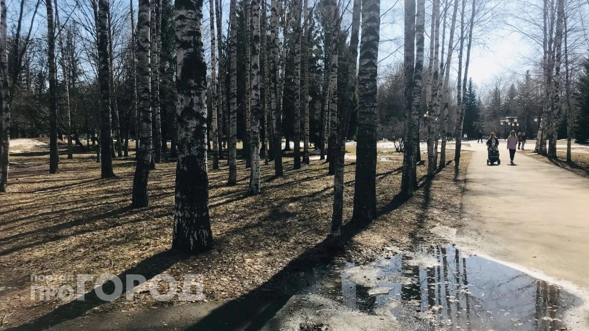 Зима еще не сдалась: заморозки со снегом ударят по Центральной России - точные даты