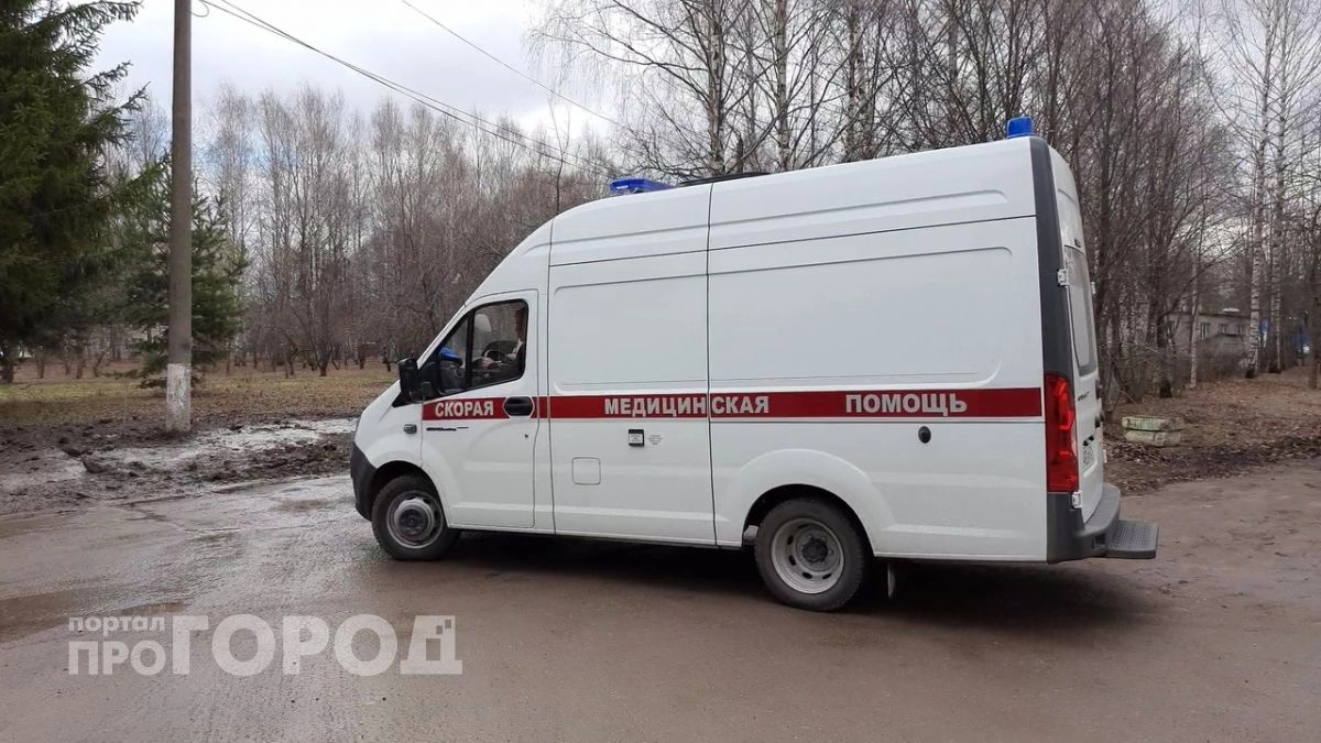 Житель Медведевского района подхватил почечную лихорадку из дров