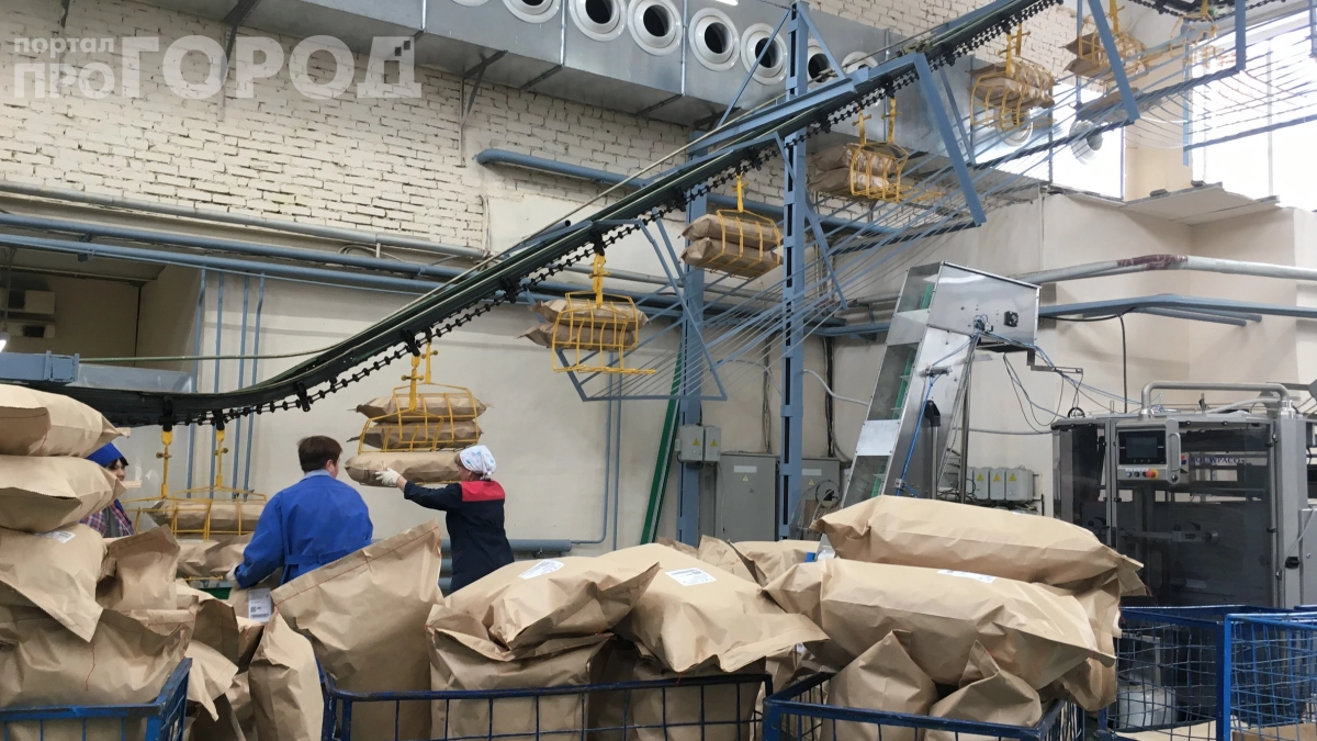 «Скоро всех рабочих заменят роботы»: что увидел иностранец на российском заводе — зрелище, от которого захватывает дух