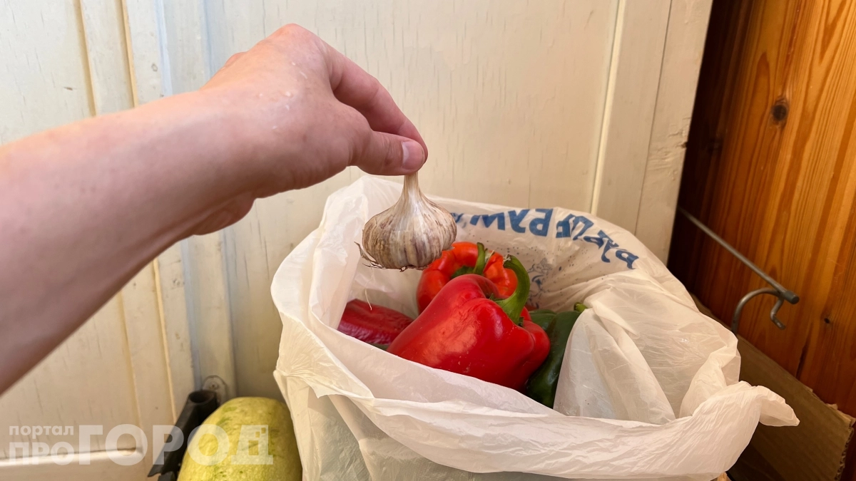 Почему в Японии едят чеснок каждый день: один зубчик в день — и мозг работает как в 20 лет