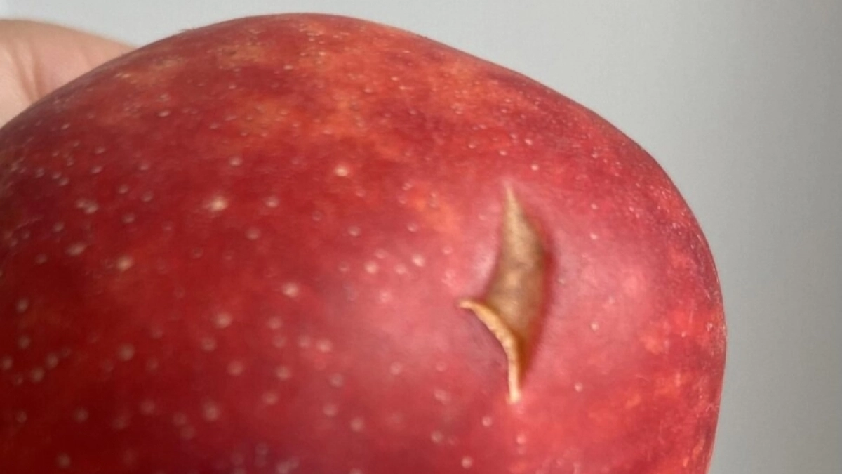 Никогда не берите в магазине такие овощи и фрукты: вот что значат эти следы на кожуре