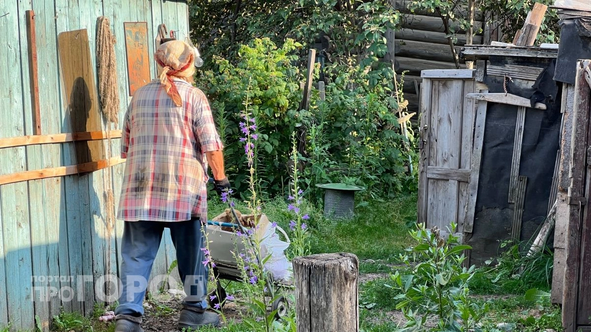 Дачный сезон 2026 начнется с аномалии: из Гидрометцентра пришло экстренное предупреждение - один неверный шаг лишит вас урожая за ночь