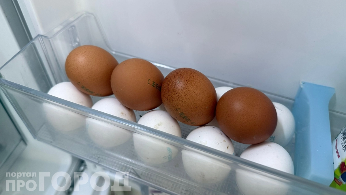 Почему работники птицефабрик не берут отборные яйца даже со скидкой: что не так с категорией С0