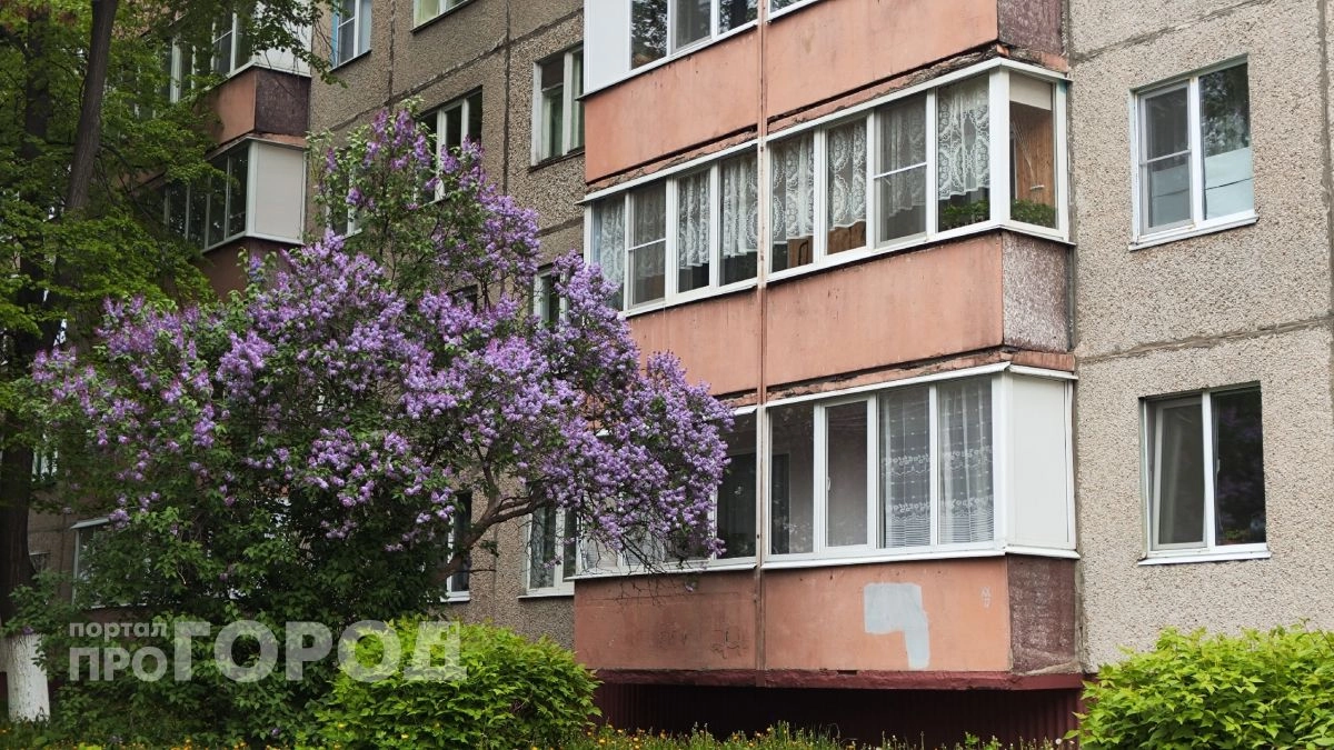 Заморозит позже, чем обычно: когда в Центральную Россию придут черемуховые холода: точная дата