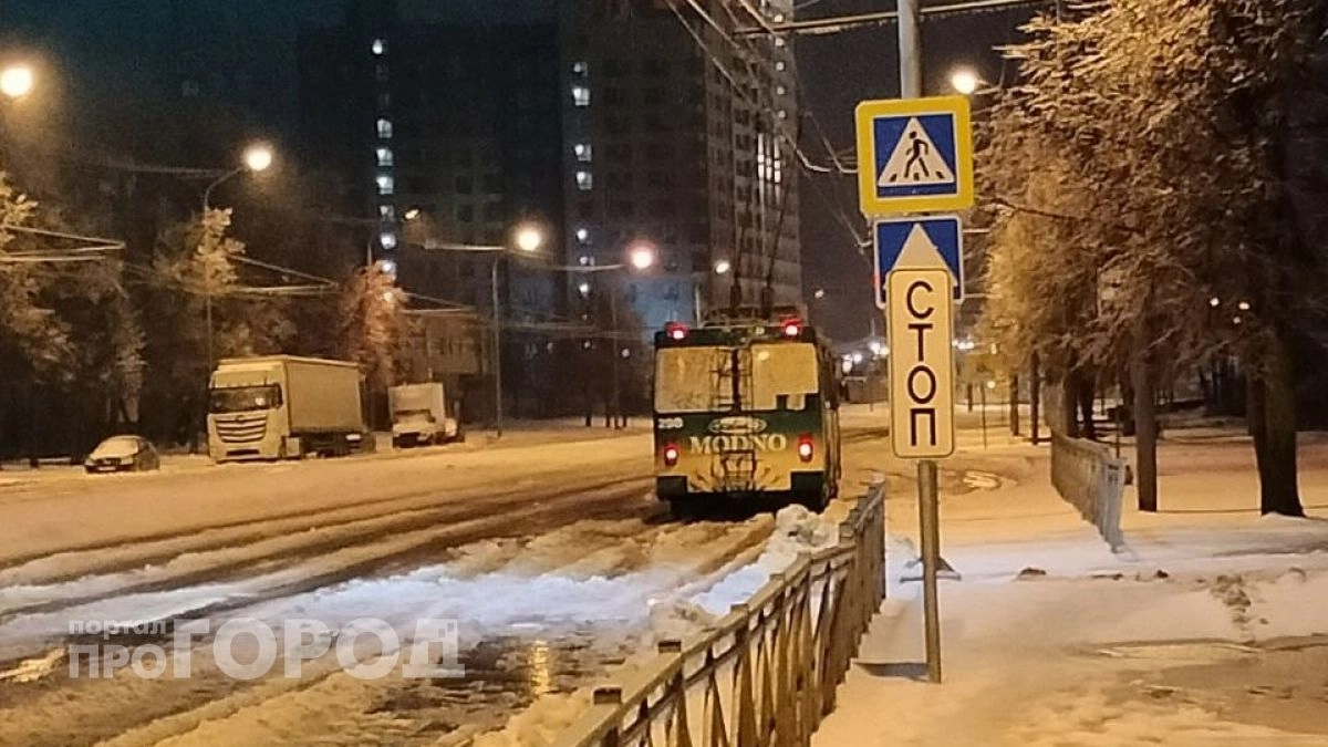 Транспорт встал, машины погребены под деревьями: непогода за одну ночь парализовала Йошкар-Олу 