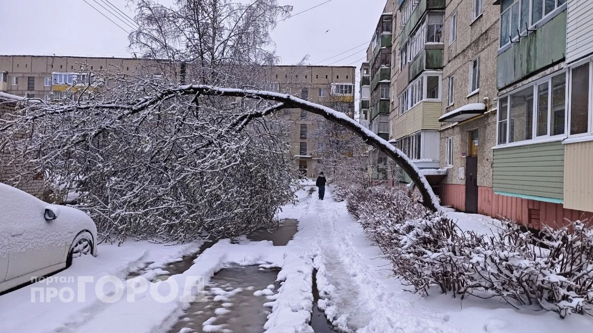 Дождь успокоится, зато заморозит до -7: апрель продолжит испытывать Марий Эл на прочность