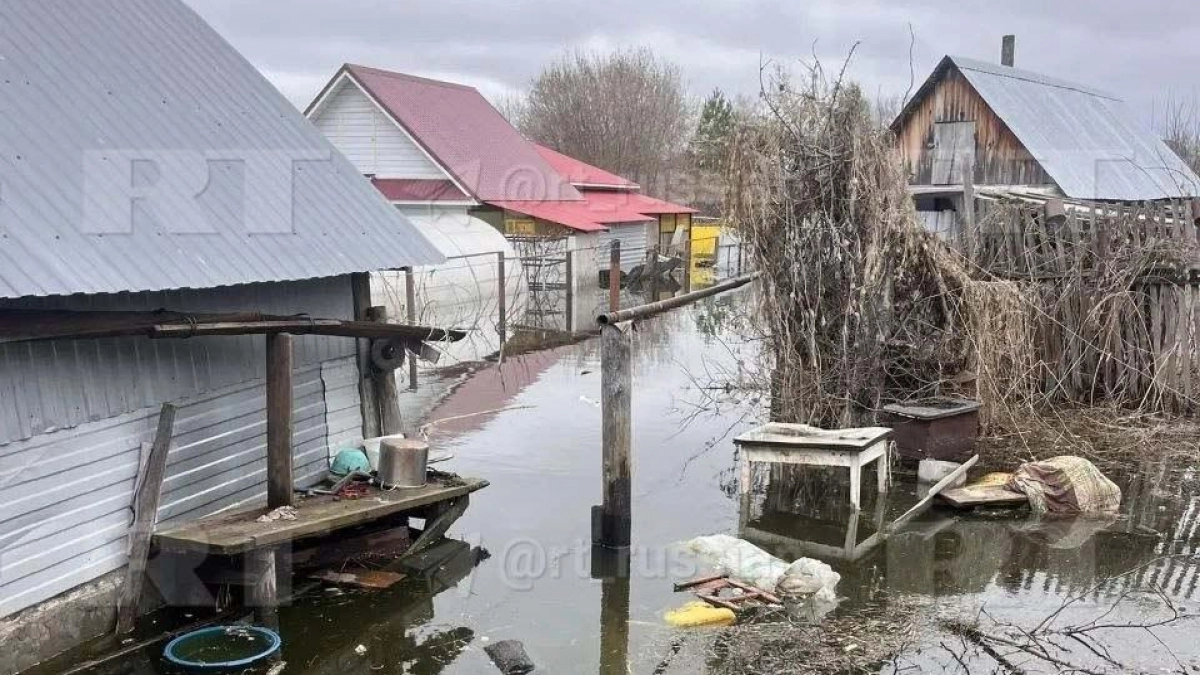 СМИ сообщают о затопленных в Волжске домах: "Чиновники обещали откачать"
