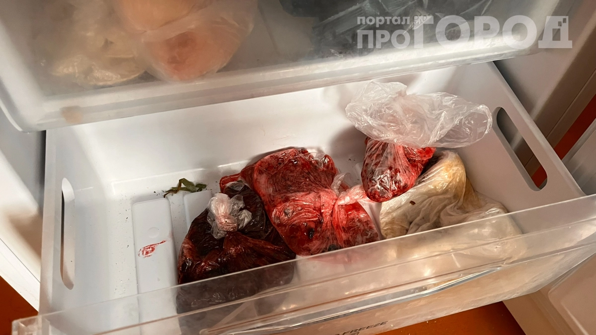 Мясо в морозилке не вечно: что с ним происходит через год — какие сроки действительно безопасны