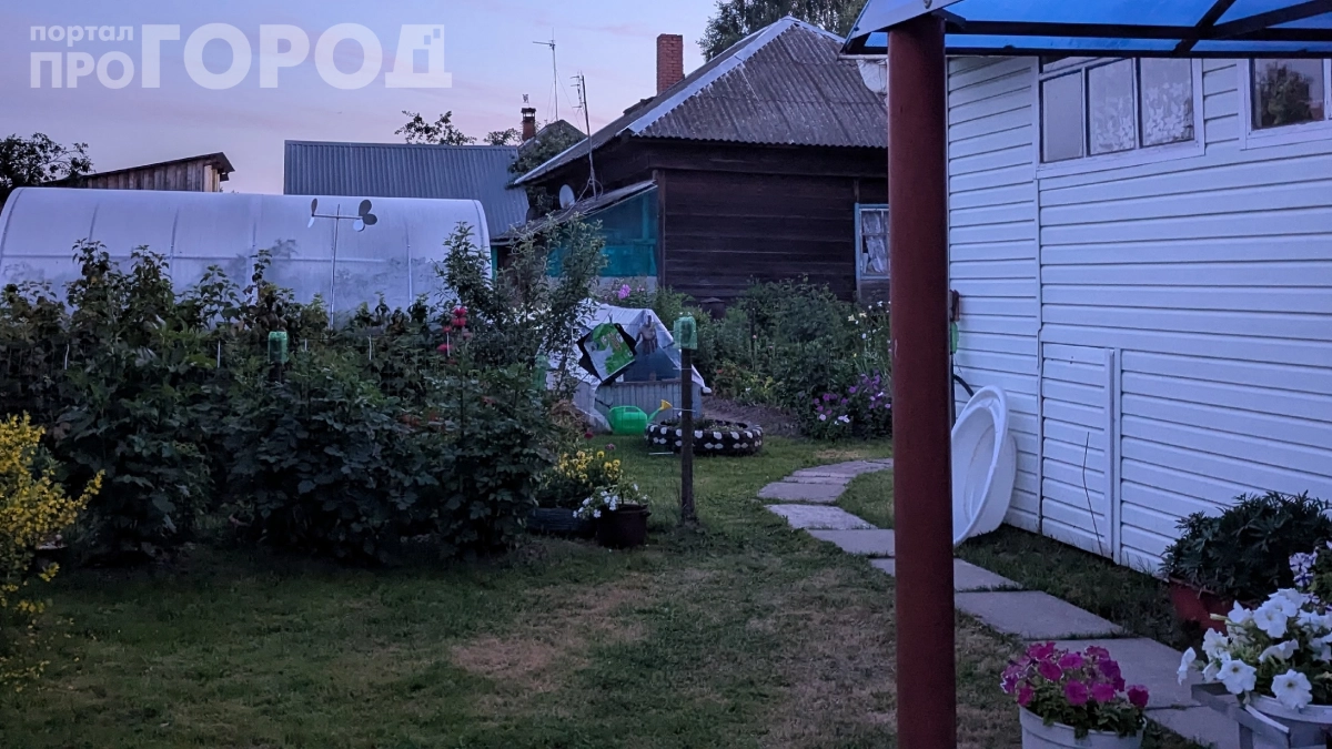 Такая дорожка переживет любой дождь и мороз: переделывал ее каждый год, пока не узнал эту схему