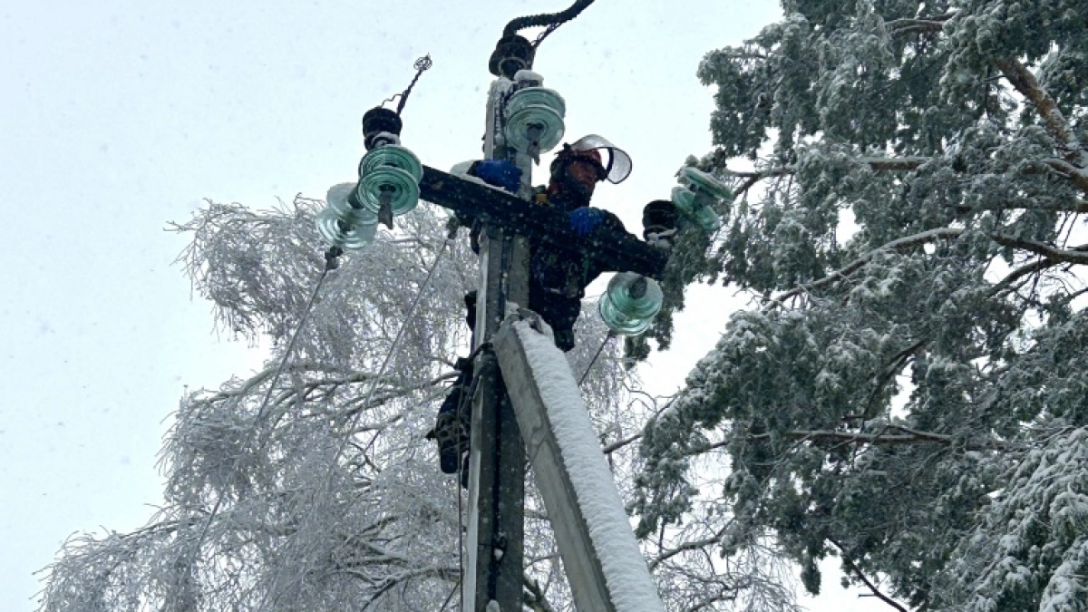 В трех районах Марий Эл починили электричество после ледяной бури