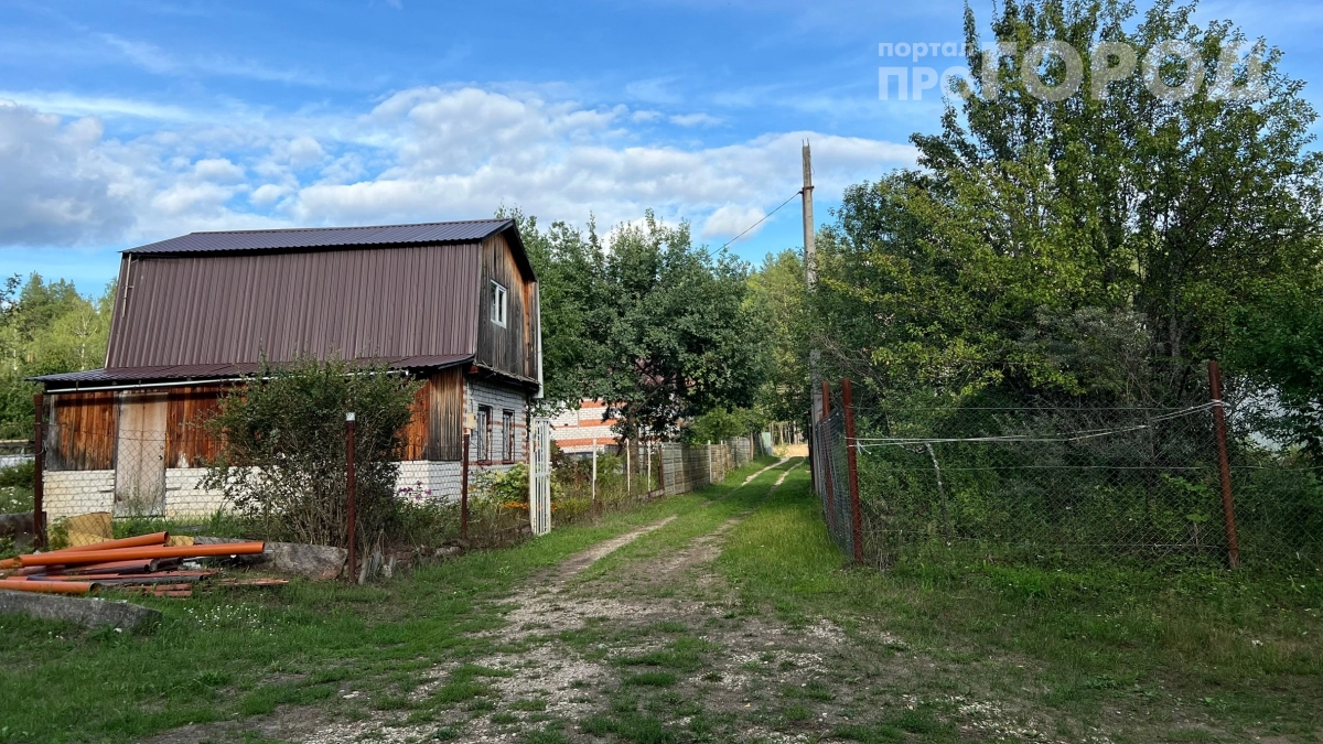 Посадите этот кустарник у входа — и забудьте о комарах навсегда: работает эффективнее химии