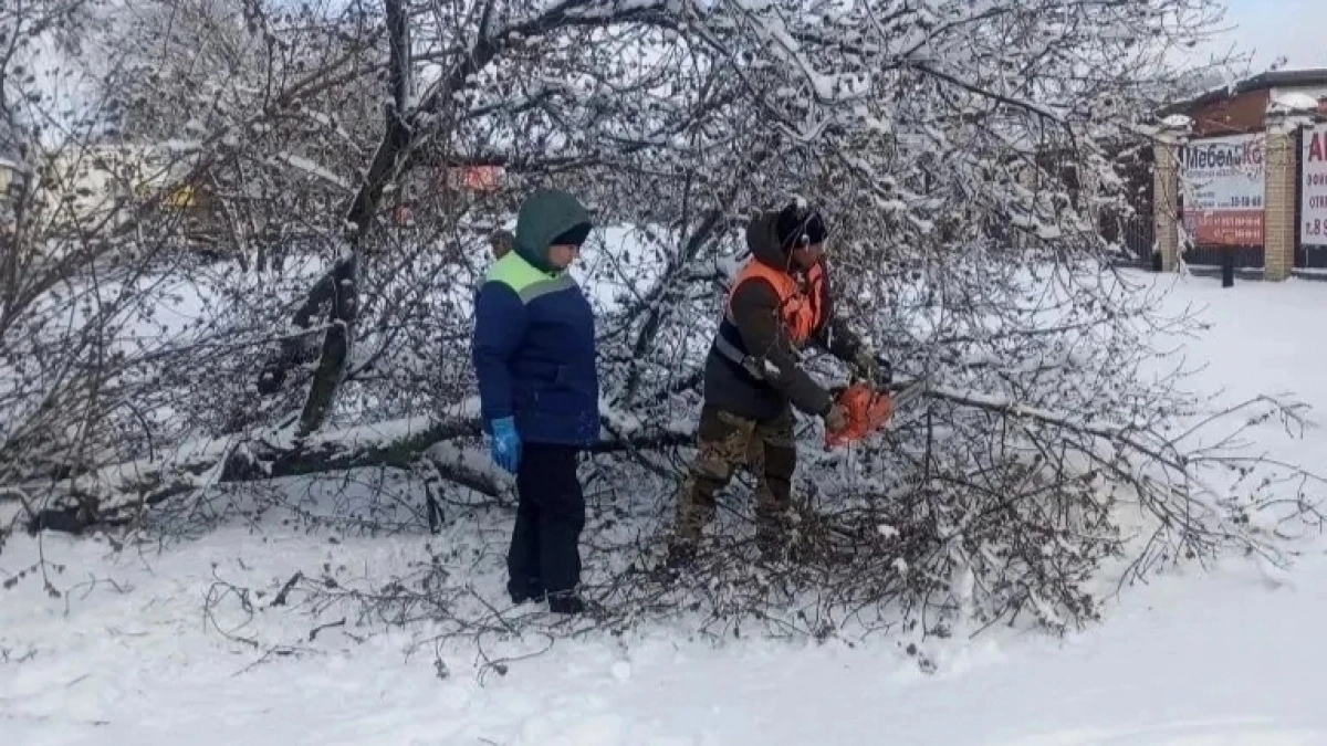 Убирают деревья, восстанавливают свет: второй день Йошкар-Олу спасают от ледяной стихии