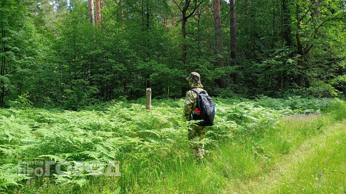 Две капли раствора - и клещи не подходят даже на метр: смешиваю всего два дешевых ингредиента
