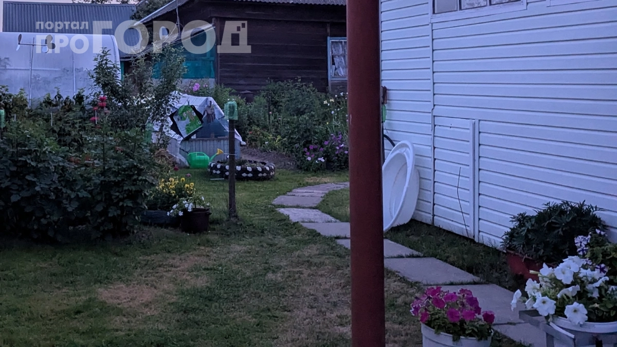 Финны делают такие дорожки уже 10 лет, а мы всё льём бетон: простой способ сэкономить силы и деньги