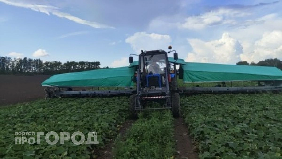 Земля зовет: вакансии в сельском хозяйстве в Марий Эл с зарплатами до 150 тысяч рублей