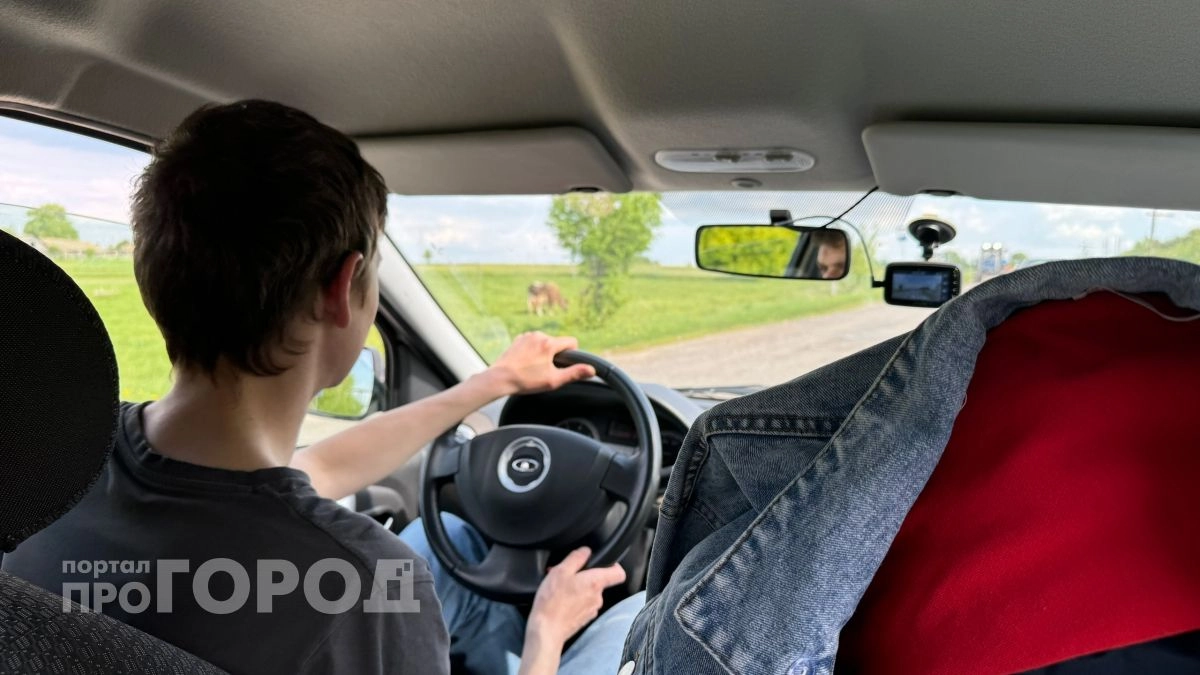 Отобрали права и дали метлу: житель Медведевского района особо провинился