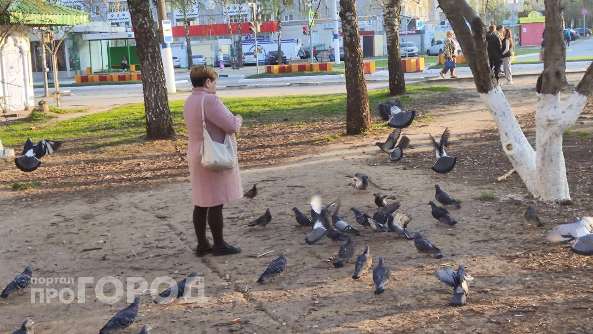 Директор коммунальщиков в Юринском районе слишком медленно отвечала местному жителю и заплатила штраф
