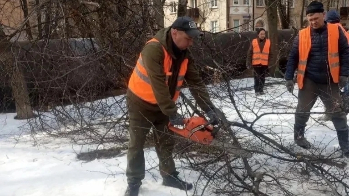 По Йошкар-Оле до сих пор собирают сломанные деревья
