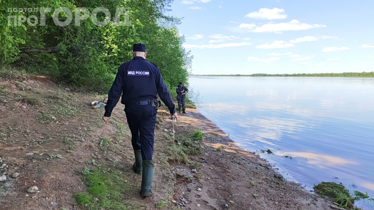 Спилил дерево — попал под статью: что нужно знать владельцам участков, чтобы не получить штраф до 1 млн рублей