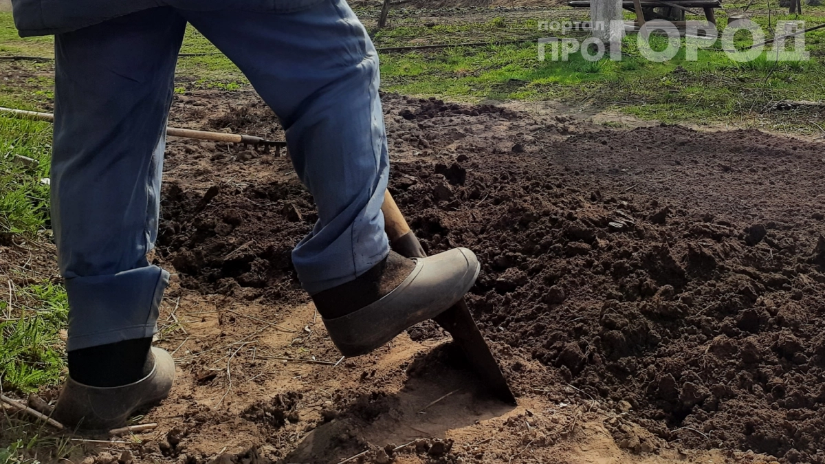 Лопата липнет к земле — работа встаёт: 3 копеечных способа вернуть инструменту скольжение