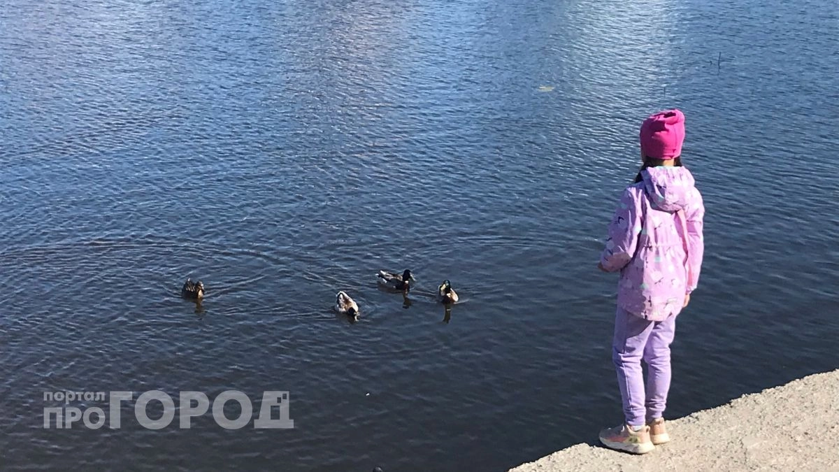 Заморозки еще не все: май не пощадит Центральную Россию