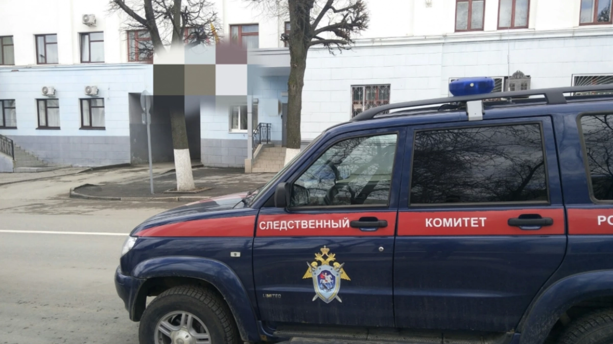 В Медведевской районе заключили под стражу мужчину, обвиняемого в убийстве родственницы своей жены