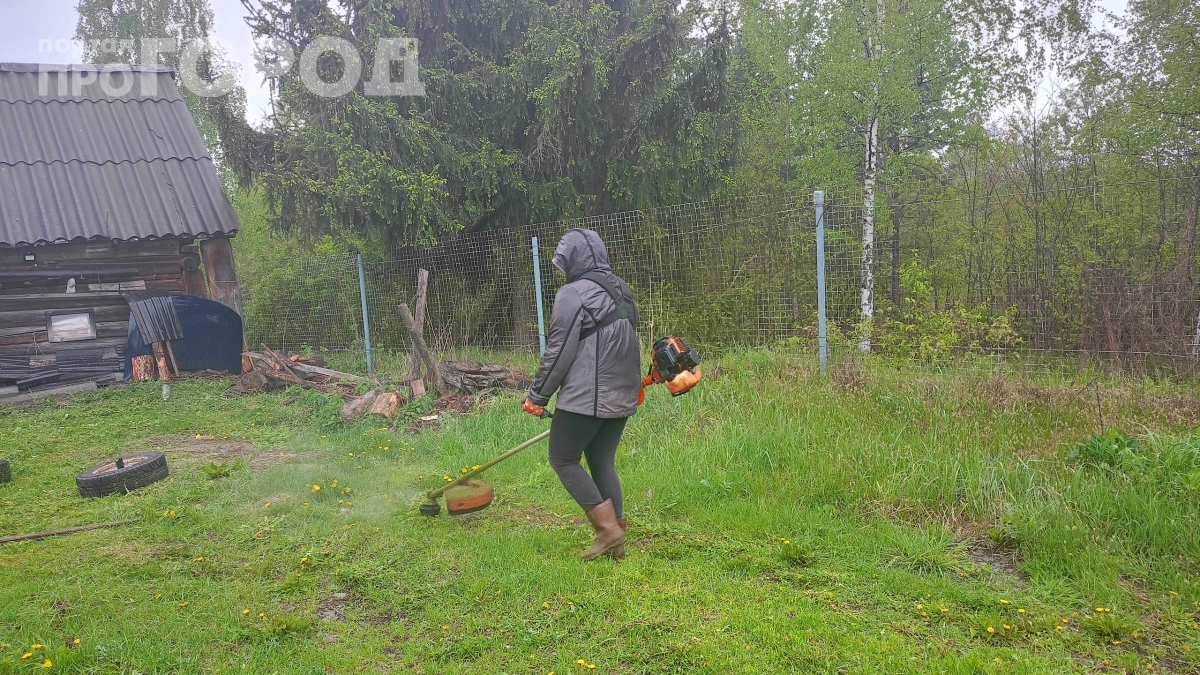 Американцы уже 10 лет экономят на газоне: вот растение, за которым не нужен уход — выглядит в 100 раз лучше