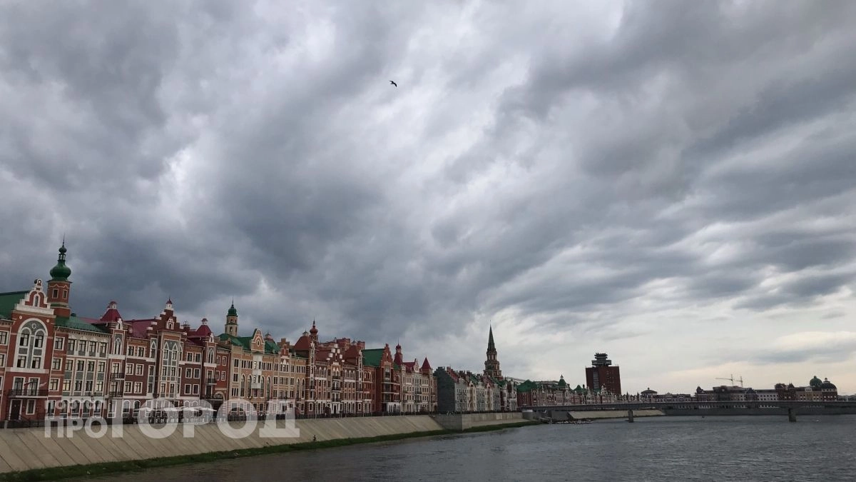 Надвигается буря: экстренное предупреждение рассылает МЧС жителям Марий Эл