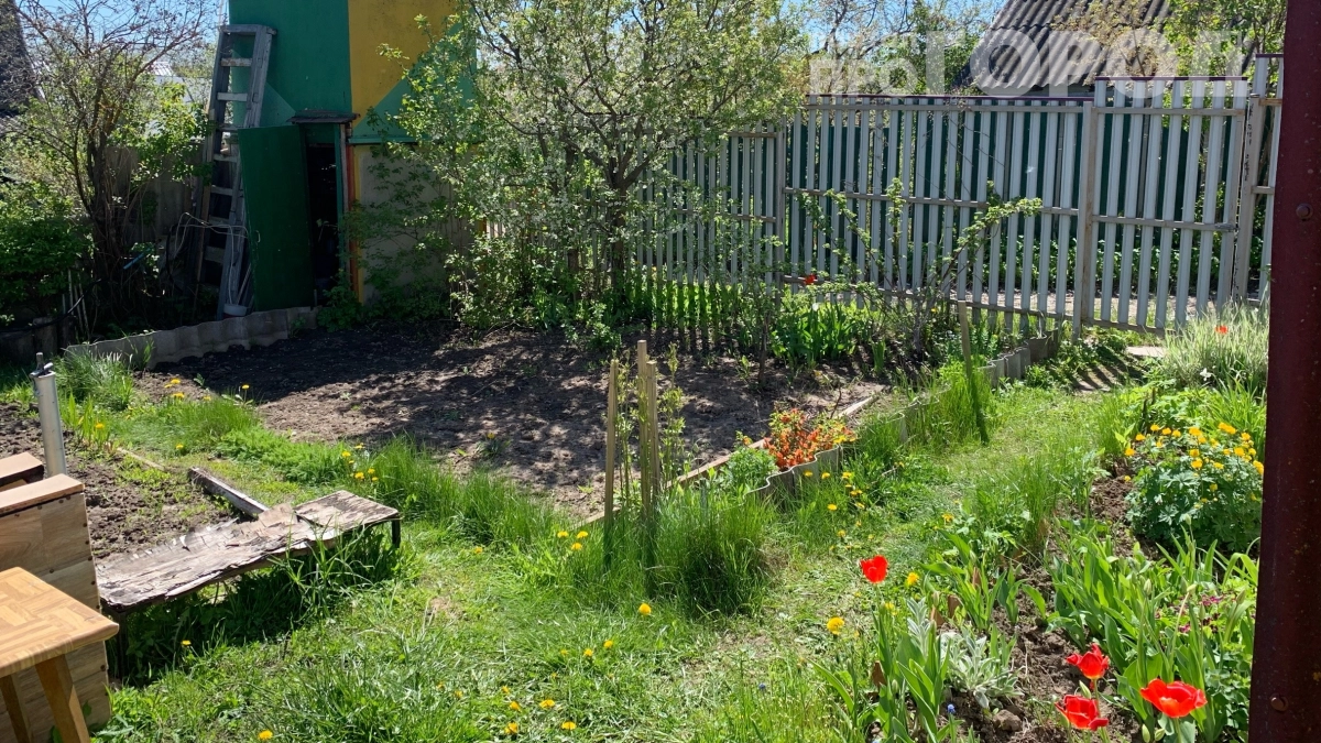 Сорняки уходят сами — без химии и прополки: вот что нужно сделать с грядками этой весной