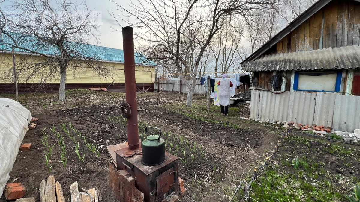 Сыплю белый порошок на грядки — урожай взлетает в разы: результат удивит даже скептиков