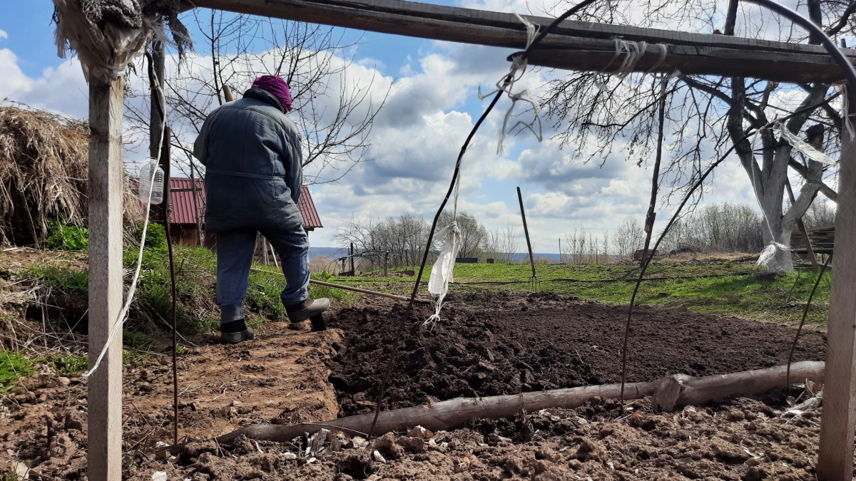 Арктический тайфун вернется и разорит дачников: садоводов предупредили о наступающей аномалии