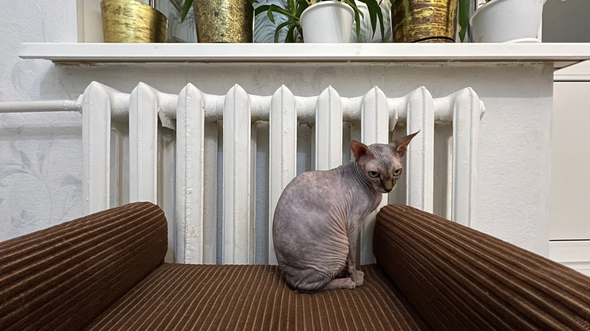 Чугунные батареи не поменяю даже за бесплатно: вот почему они гораздо лучше любых других