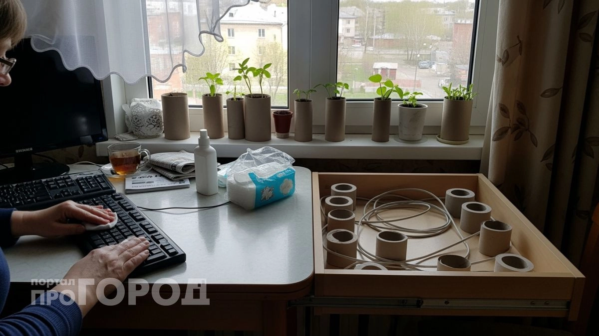 Втулки от туалетной бумаги превращаются в органайзеры и экономят деньги