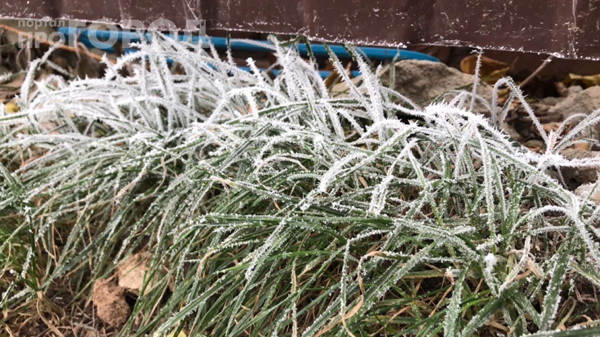 Майские заморозки теперь не страшны: как апрельский снег спасёт ваш урожай — объясняет агроном