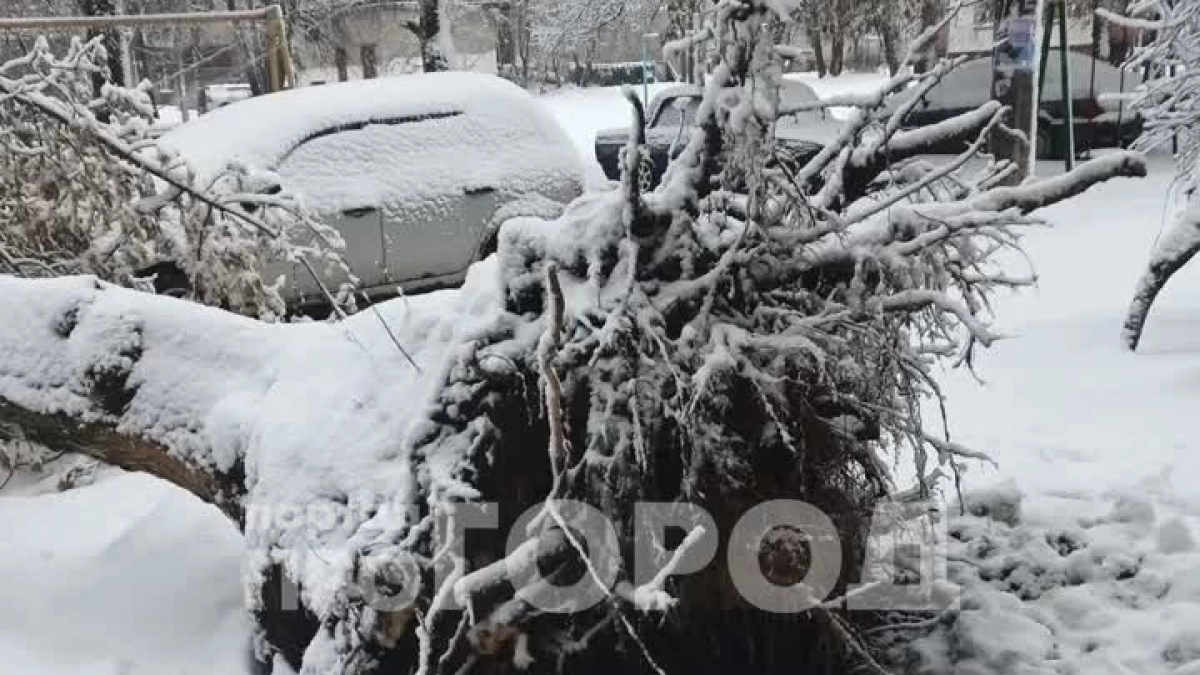 Богатый урожай и справное лето: почему апрельские снега и бури в Марий Эл на самом деле добрый знак