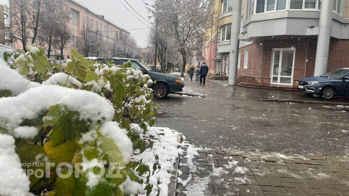 Мокрый снег сохранится до мая: прогноз погоды в Марий Эл