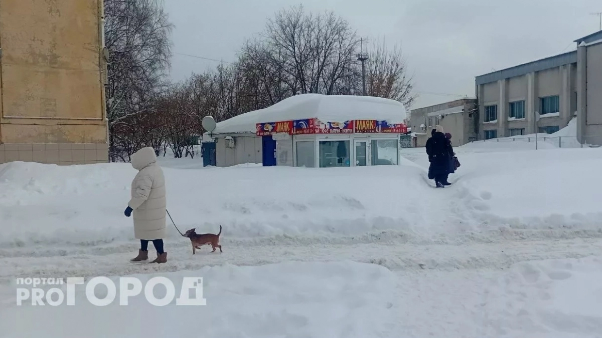 "Достойно отработали": Зайцев оценил, как Йошкар-Ола справилась с аномальными снегопадами