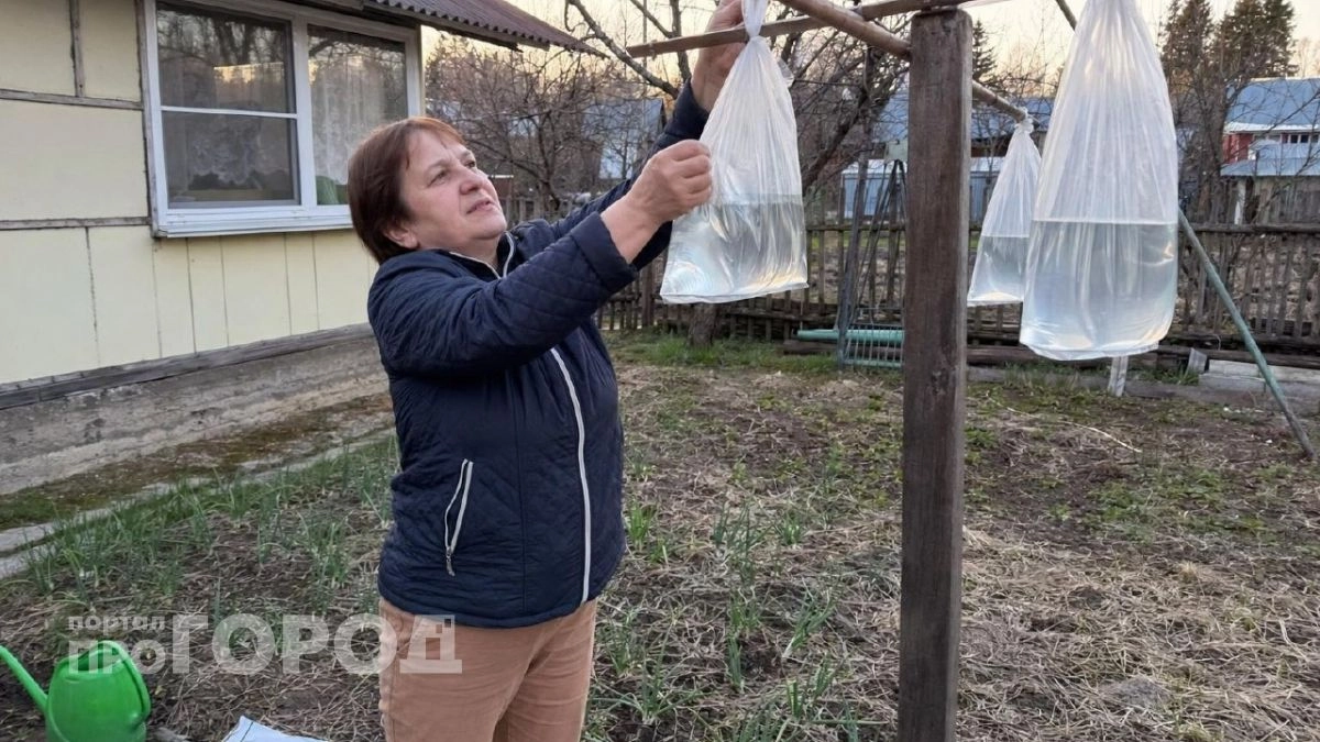 Соседи думали, что я сошла с ума, а теперь тоже так делают: простой пакет с водой спас урожай и увеличил его вдвое