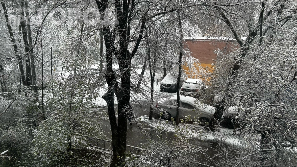 С 1 мая погода устроит проверку на прочность: синоптики предупреждают — готовьтесь к худшему