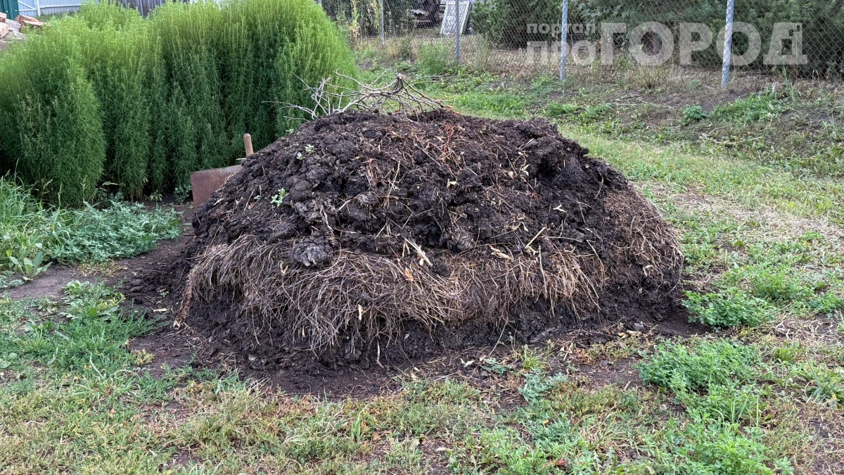 Что нельзя бросать в компост ни в коем случае: мыши и смрад придут на ваш участок 