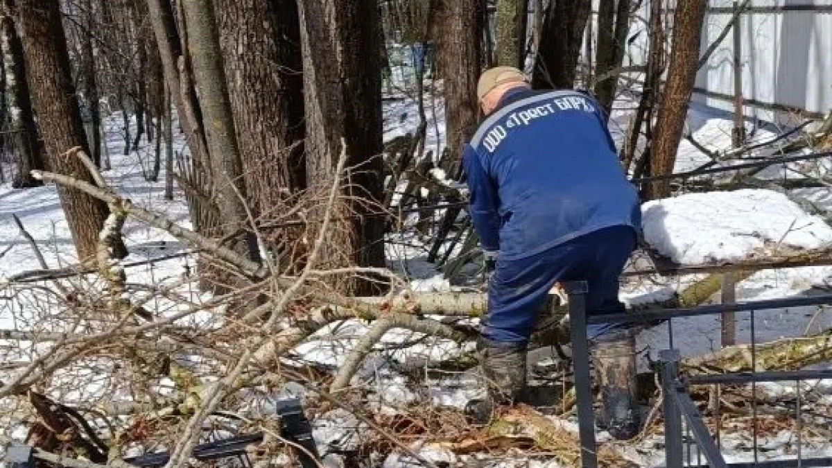 Ураган засыпал деревьями кладбища Йошкар-Олы