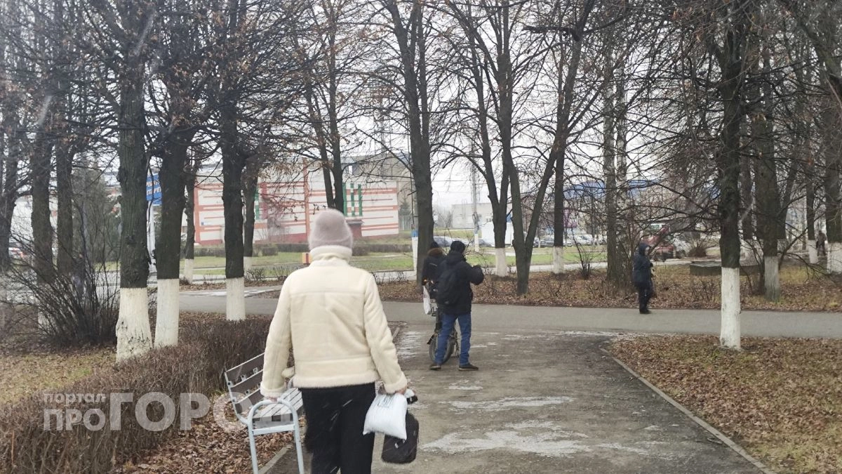 Женщина обратилась в администрацию Новоторъяльского района, но ответ получила только после работы прокуратуры