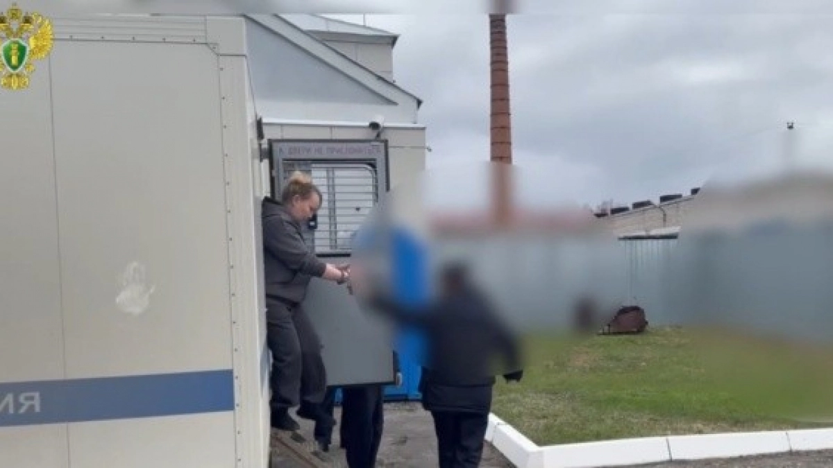 Женщина из Моркинского района убила мужа кухонной утварью