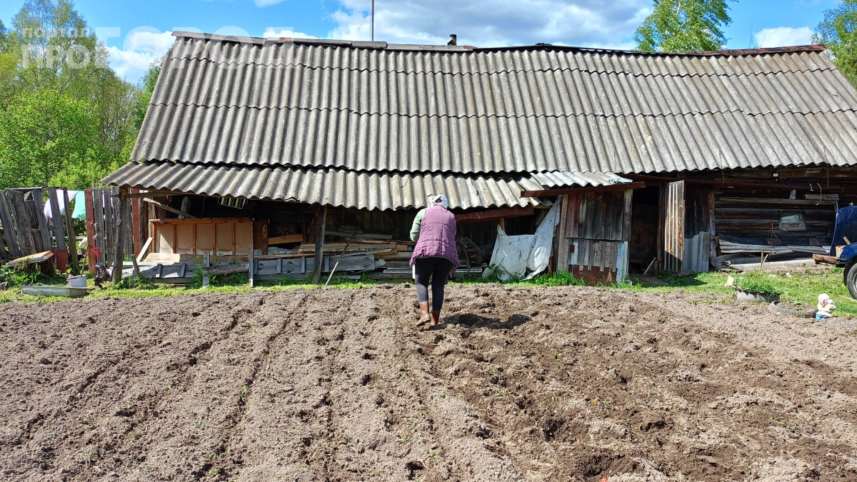 Вы делаете это на даче в мае — и зря: 10 бесполезных дел, которые крадут силы и время